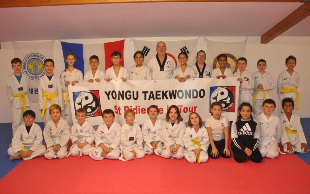 Taekwondo – Kickboxing