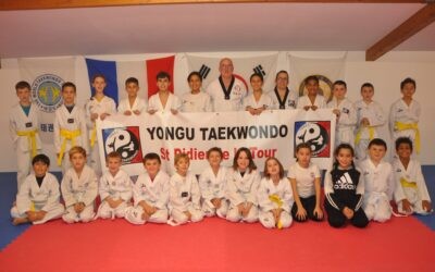 Taekwondo – Kickboxing