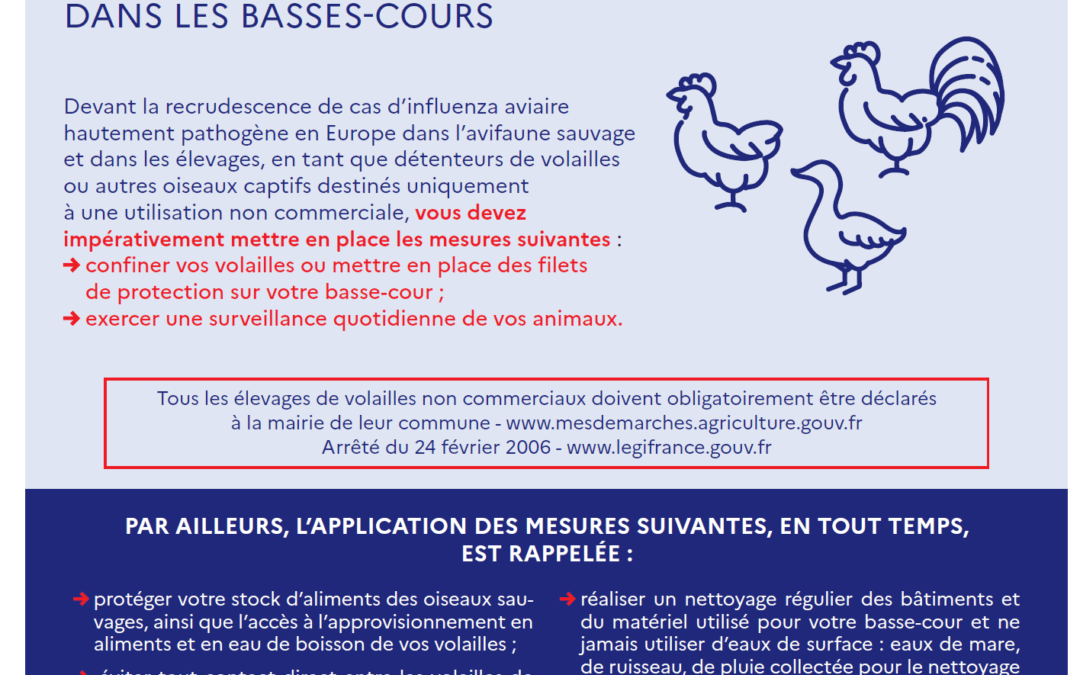 Influenza aviaire – extension des zones de contrôle temporaire et renforcement des mesures