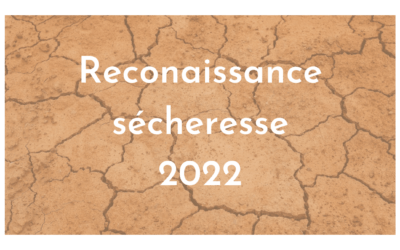 Arrêté ministériel de reconnaissance complémentaire pour les pertes de récoltes sur semences fourragères dues à la sécheresse 2022 sur l’ensemble des communes du département de l’Isère.